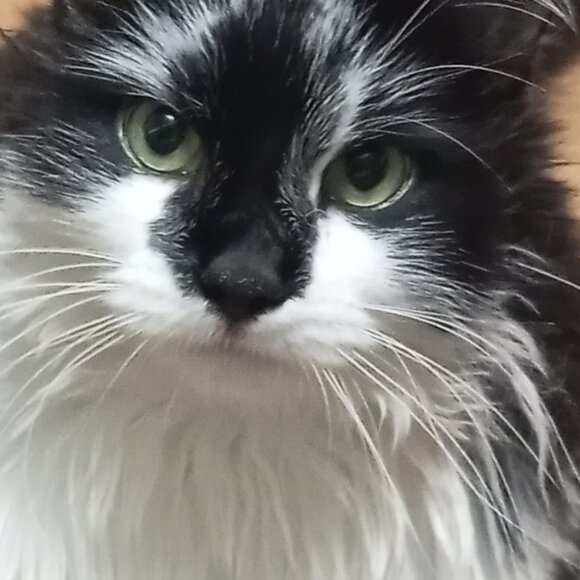 Howdy friend! You can call me Ash - Picture 6 of 7